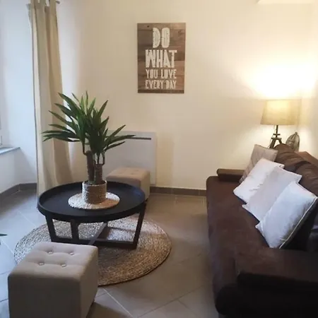 Apartment T 2 Cosy Dans Le Centre Historique